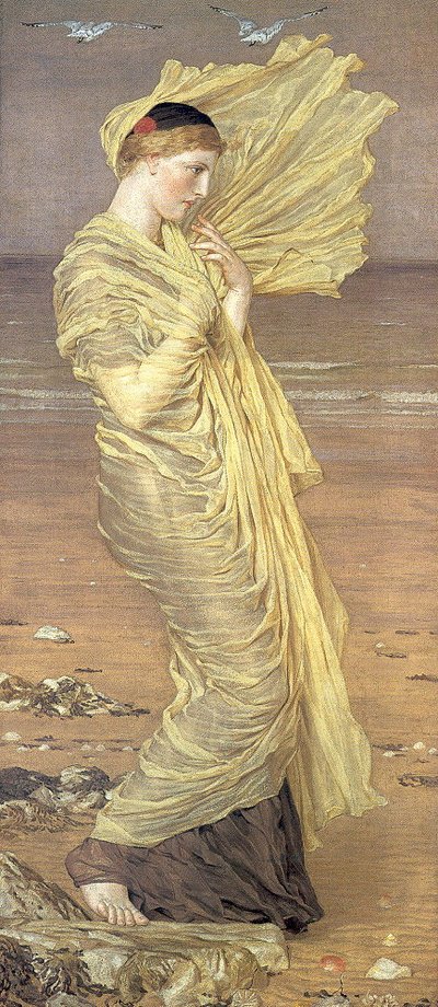 Möwen von Albert Joseph Moore